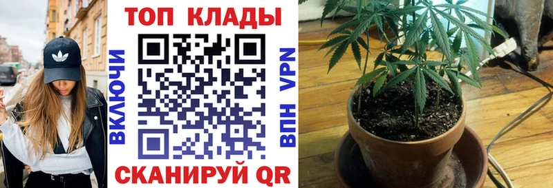 Где найти наркотики Голицыно АМФ  Бошки Шишки  Кокаин  МЕФ  ГАШ  СК 