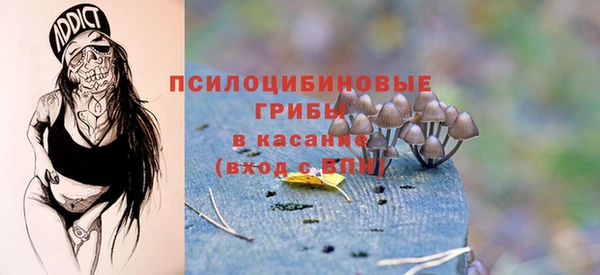 гидропоника Арсеньев
